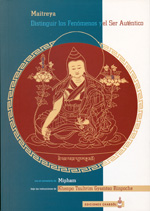 
            Distinguir los fenómenos y el ser auténtico de Maitreya