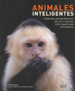 ANIMALES INTELIGENTES