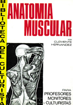 
            Anatomía muscular