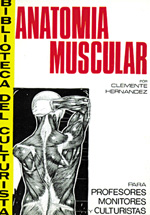 Anatomía muscular