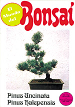 
            MUNDO DEL BONSAI, EL