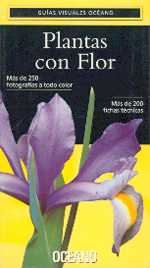 
            PLANTAS CON FLOR