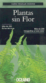 
            PLANTAS SIN FLOR