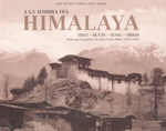 
            A LA SOMBRA DEL HIMALAYA