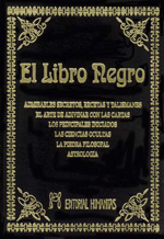 
            El libro negro