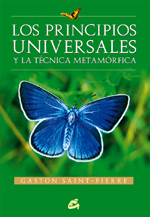 PRINCIPIOS UNIVERSALES Y LA TÉCNICA METAMÓRFICA, LOS