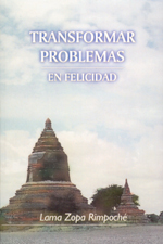 Transformar problemas en felicidad