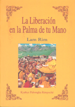 
            La liberación en la palma de tu mano