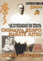 Okinawa kempo karate jutsu