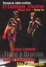
            El combate efectivo. Muay thai + kung fu