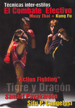 El combate efectivo. Muay thai + kung fu