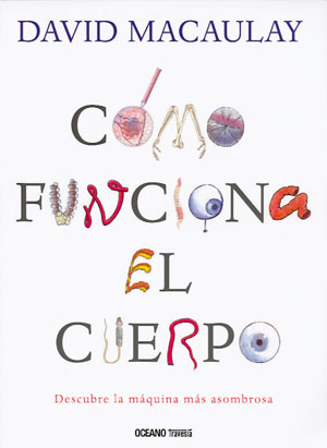 
            Cómo funciona el cuerpo