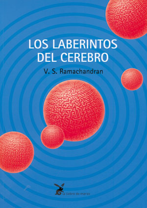 Los laberintos del cerebro