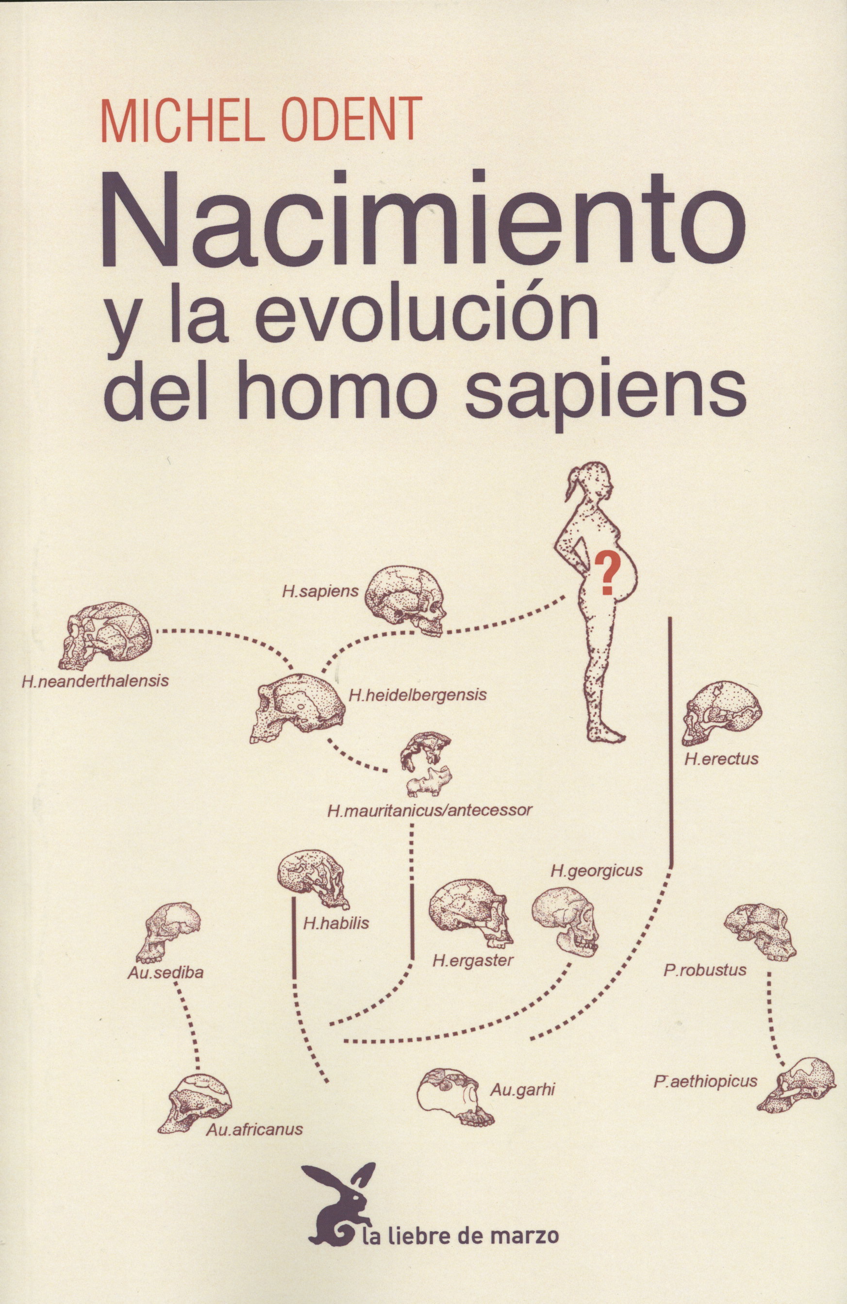 
            Nacimiento y la evolución del homo sapiens