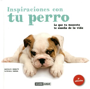 
            Inspiraciones con tu perro