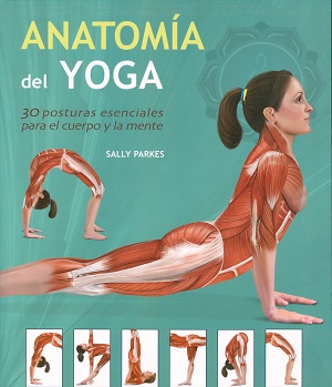 Anatomía del yoga