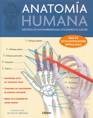 
            Anatomía humana (Mano)
