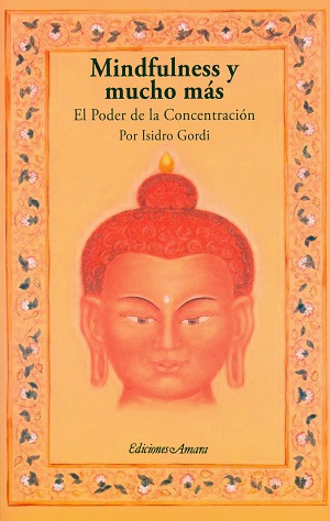 
            Mindfulness y mucho más 