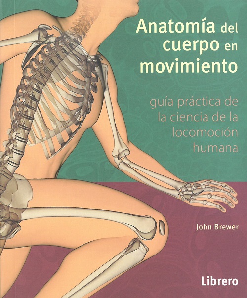 Anatomía del cuerpo en movimiento