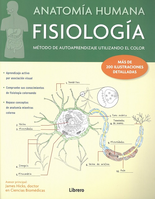 Anatomía humana. Fisiología