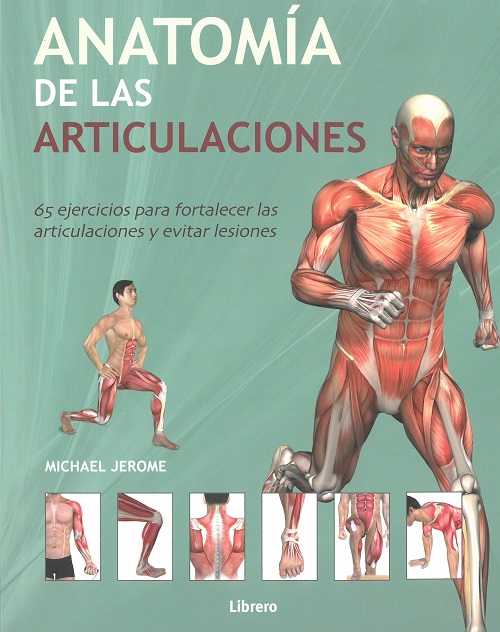 
            Anatomía de las articulaciones