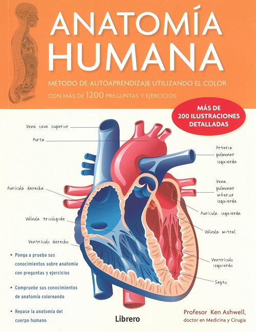 Anatomia Humana (Corazón V1)