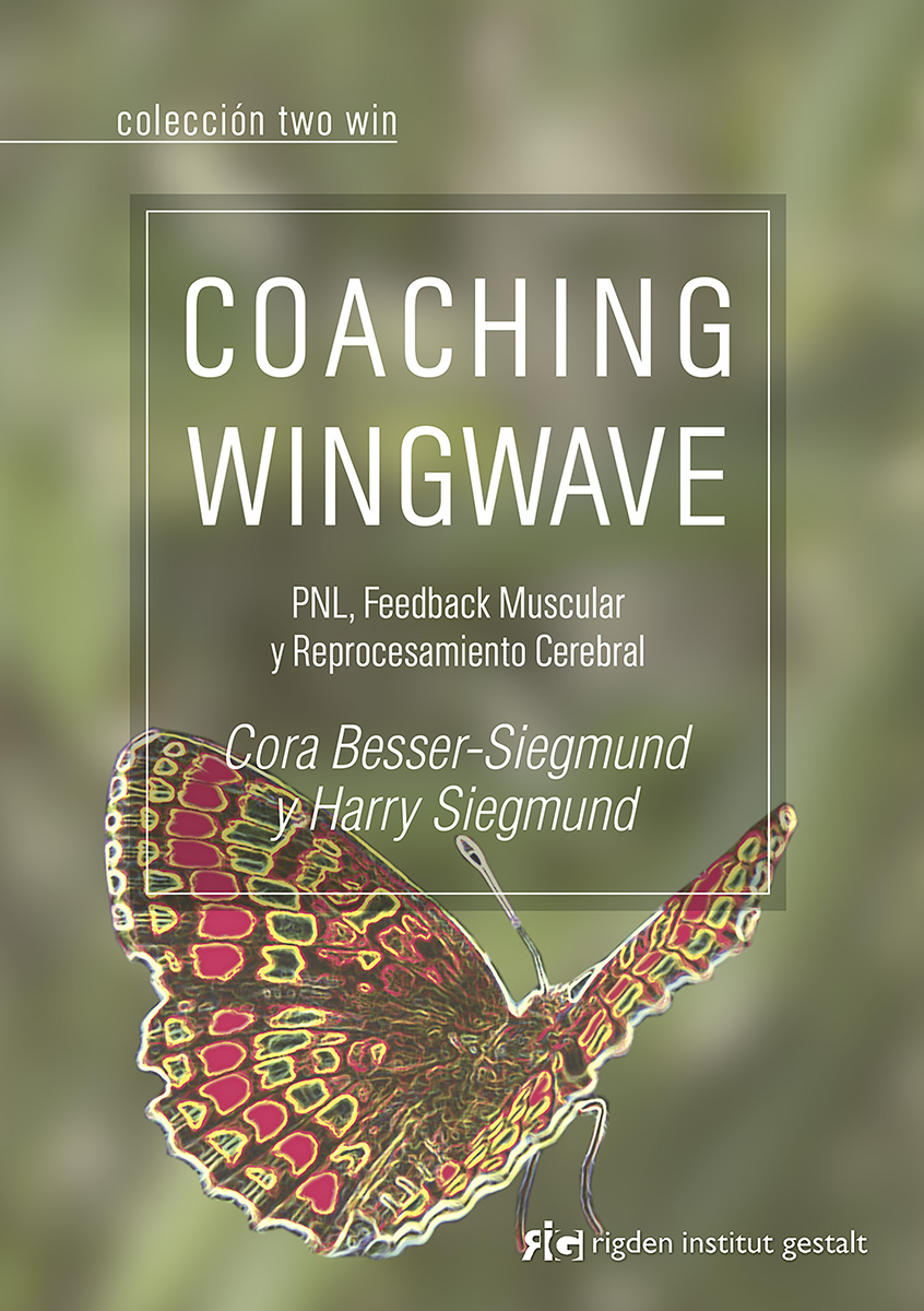 
            Coaching Wingwave