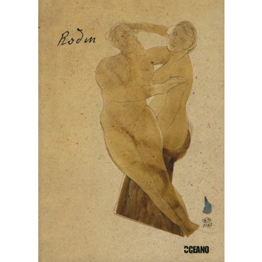 
            Cuadernos eróticos Rodin