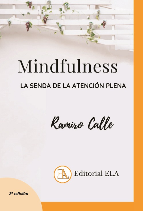 
            Mindfulness
