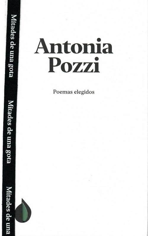
            Antonia Pozzi