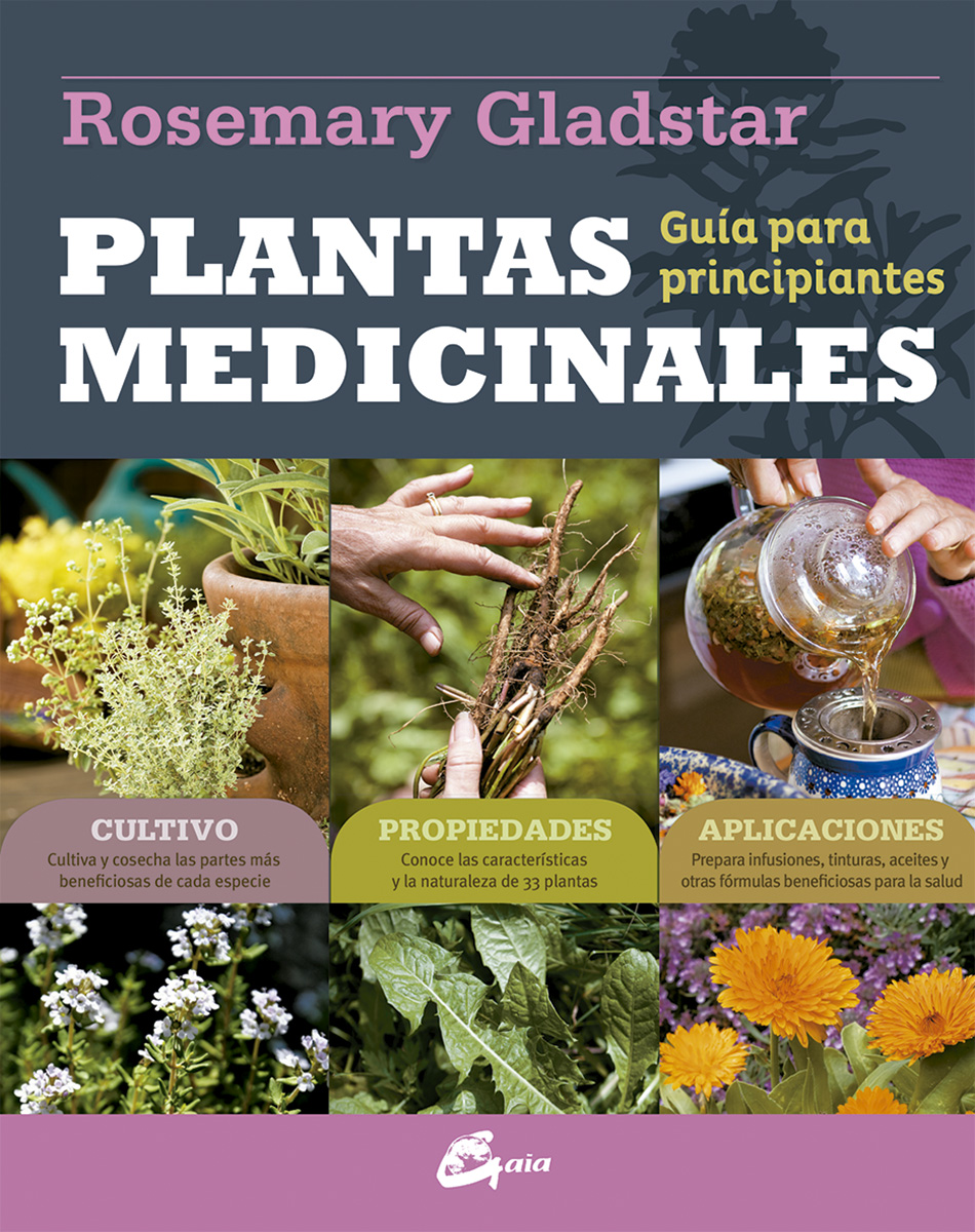 
            Plantas medicinales