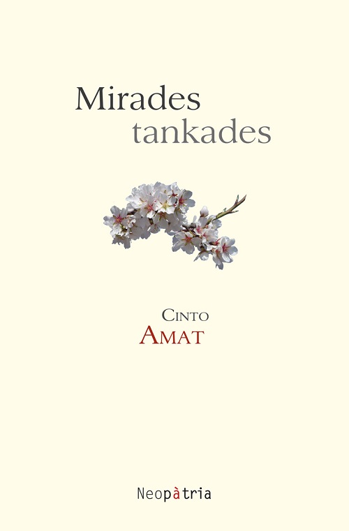 
            Mirades tankades