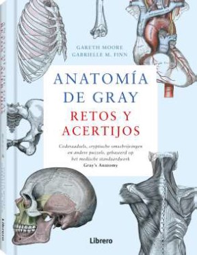 
            Anatomía de gray