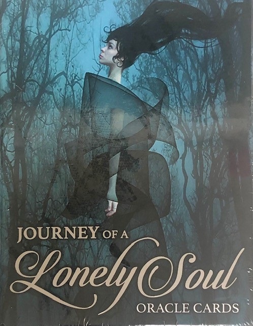 
            Journey of a Lonely Soul