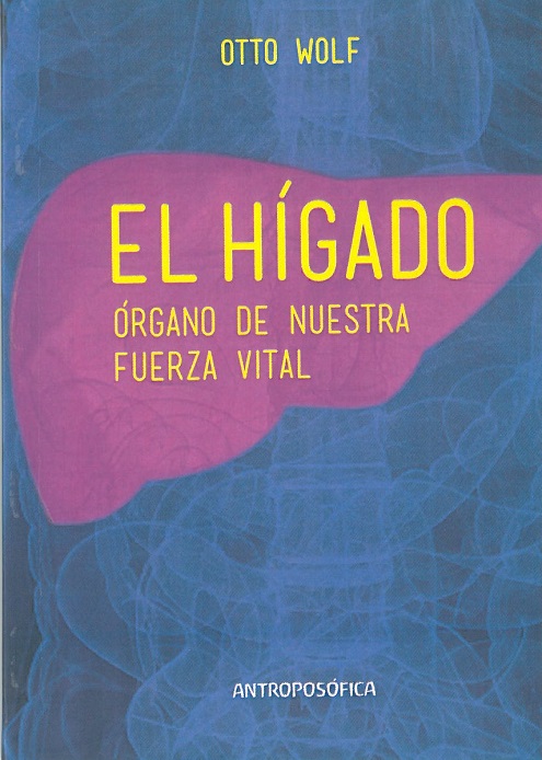 
            El hígado