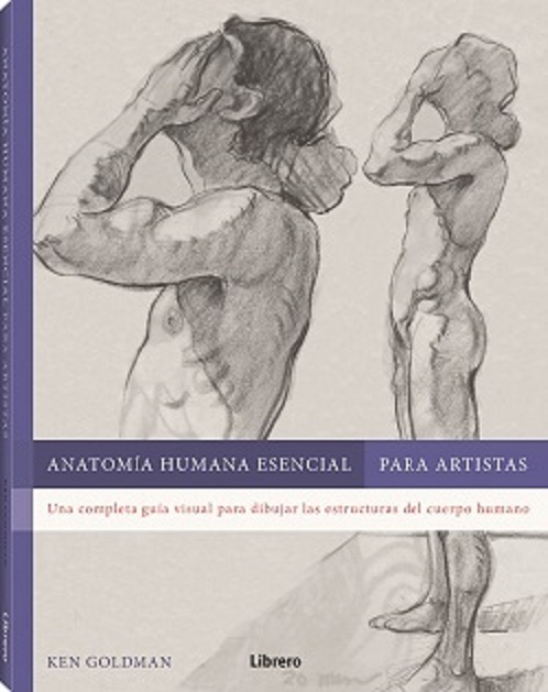
            Anatomía humana esencial para artistas