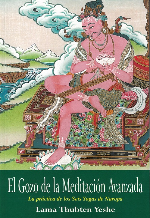 
            El gozo de la meditación avanzada