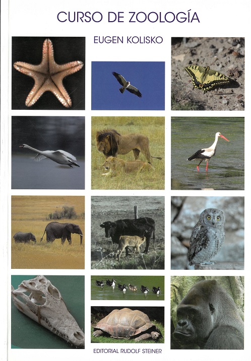 
            Curso de zoología