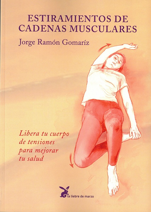 
            Estiramientos de cadenas musculares