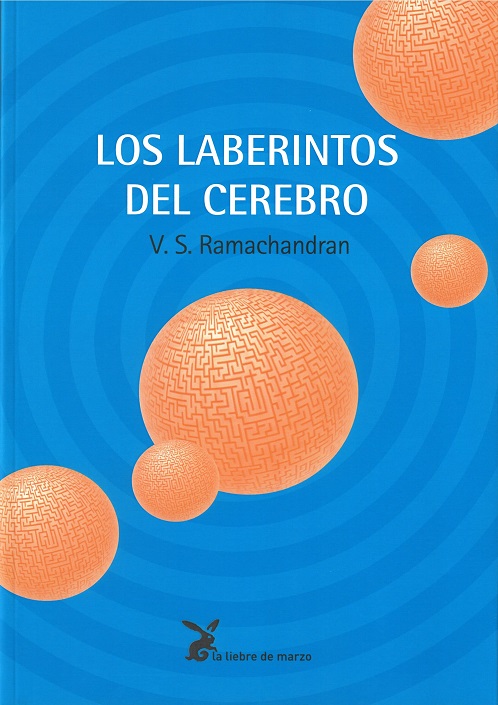 
            Los laberintos del cerebro