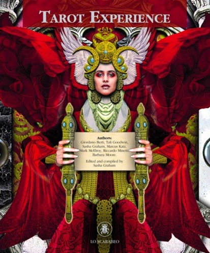 
            Tarot Experience Vol.II (Libro)