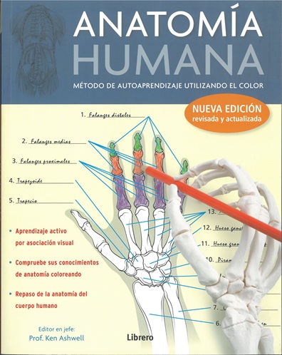 
            Anatomía humana