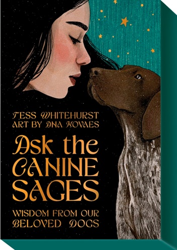 
            Ask the canine sages