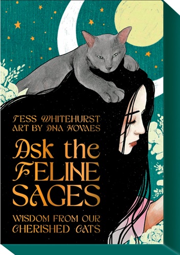
            Ask the feline sages